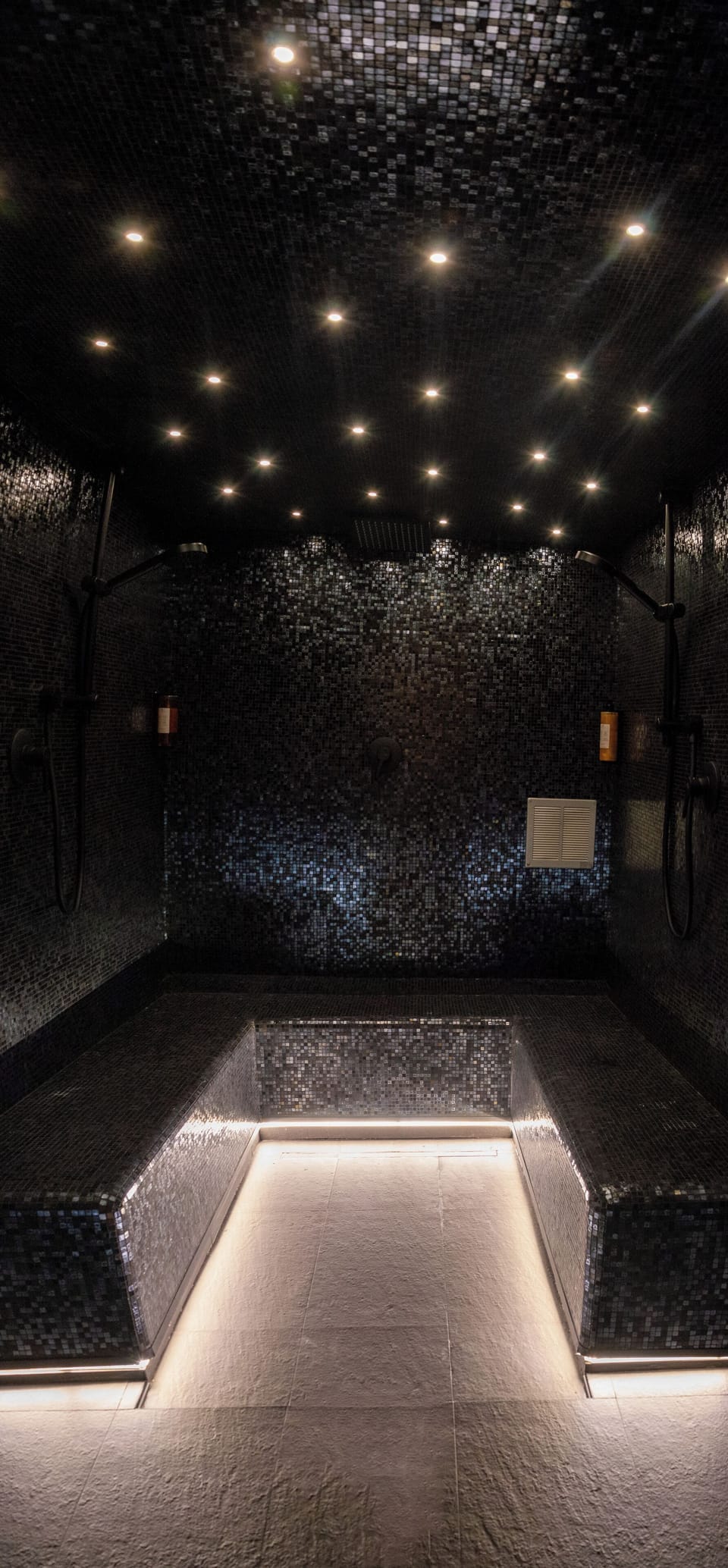 Luxury Suite | Bathroom shower
