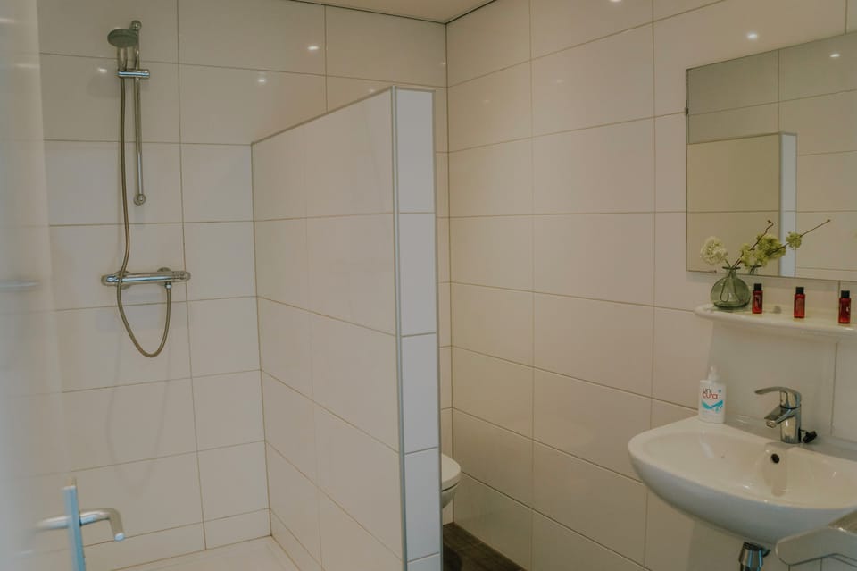 Our hotel site in Zeeland is just a short walk from the beach and perfect for families with a dog.