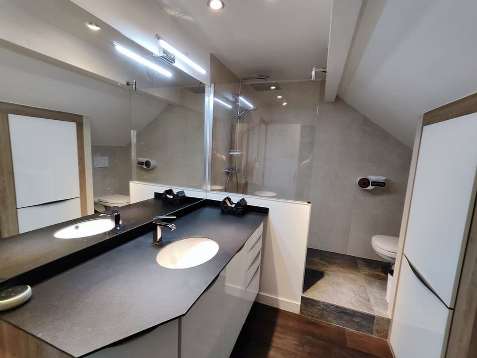 Superior Double Room, 1 King Bed | Bathroom | Hair dryer, towels, shampoo, toilet paper