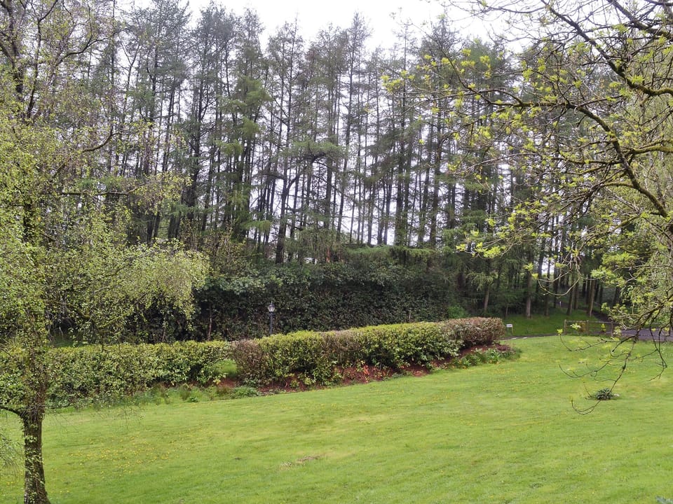 Grounds | Sunnybank Lodge, Llanfynydd