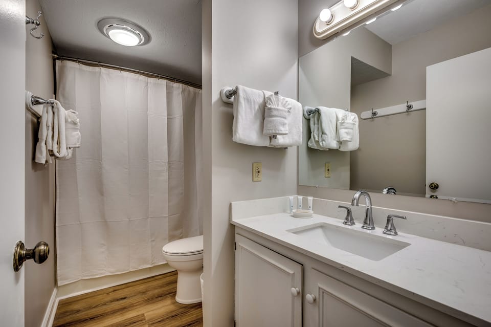 Guest bathroom