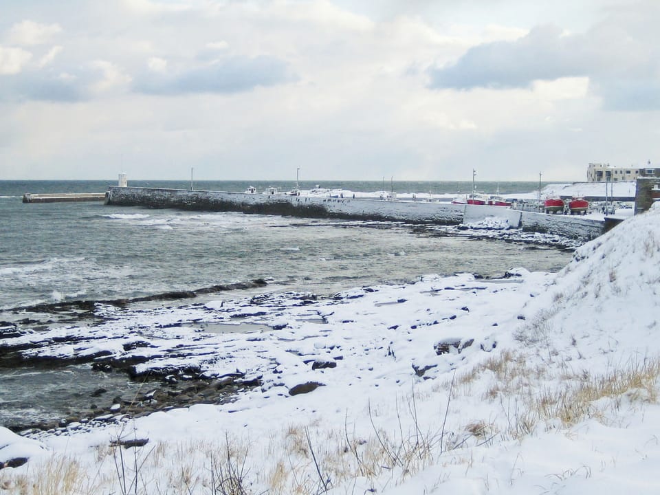Surrounding area | Farne Island View, Seahouses