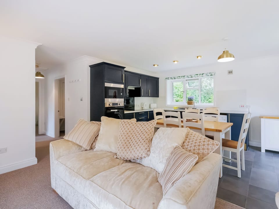 Open plan living space | Kingfisher - Lakeside Retreats, Marston