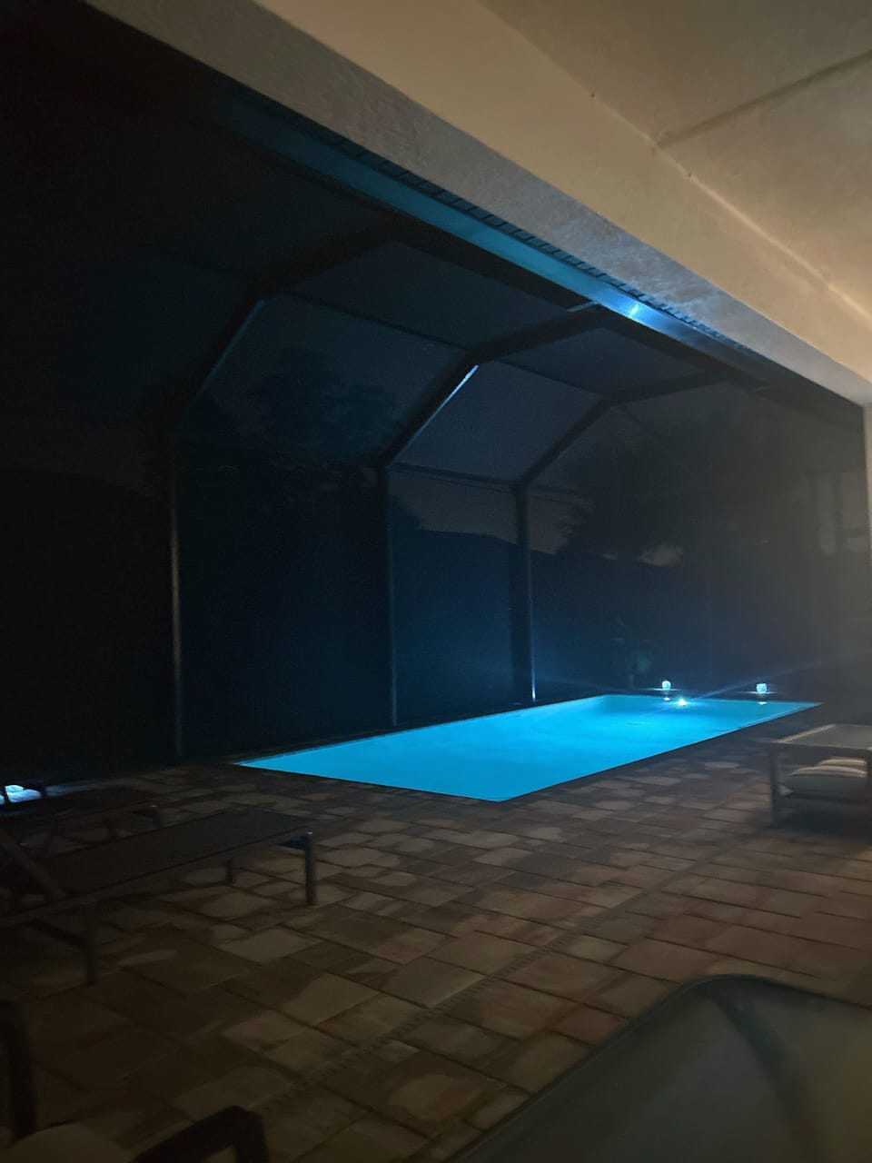 Pool settling in for a good nights sleep