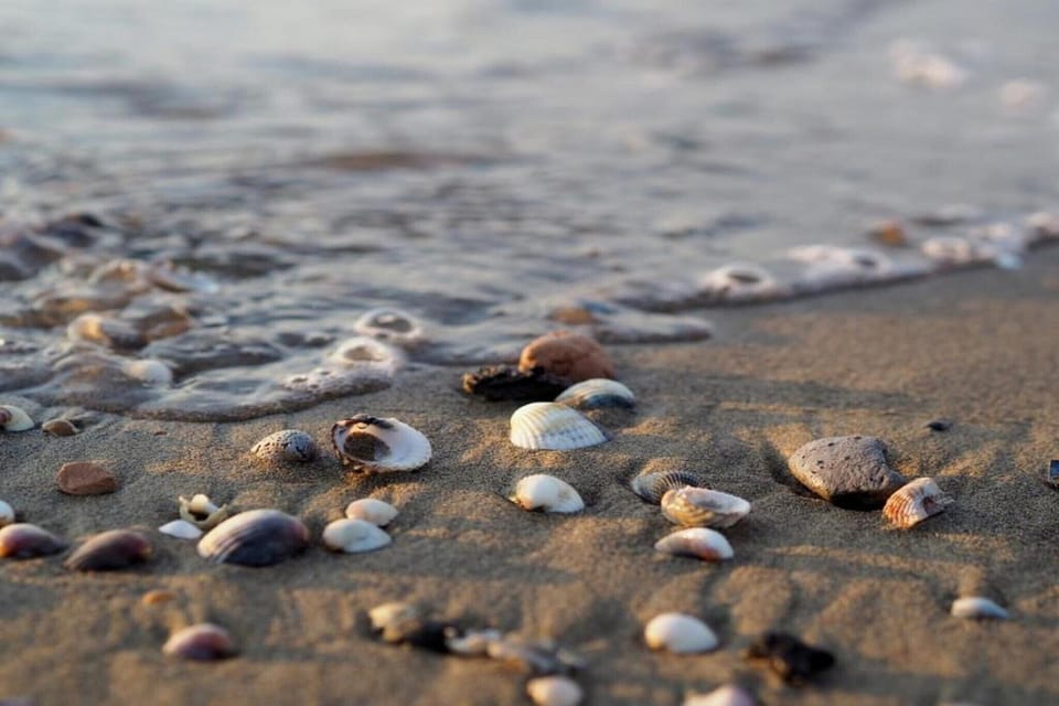 Immediate Surroundings [summer] (<1 km)