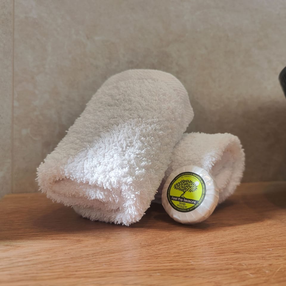 Deluxe suite 104 | 5 bedrooms, minibar, soundproofing