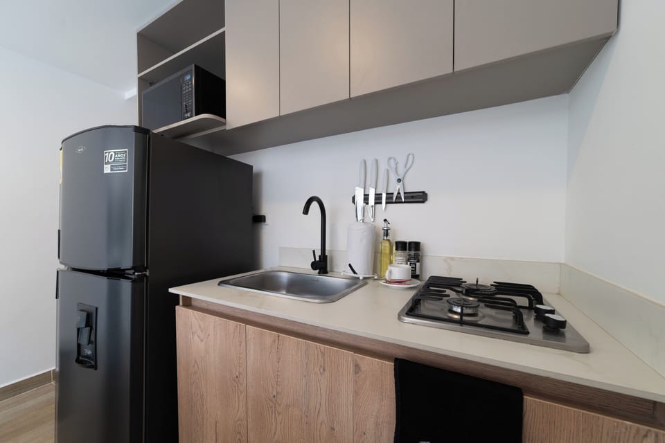 Apartment (203) | Private kitchen | Fridge, microwave, electric kettle, blender