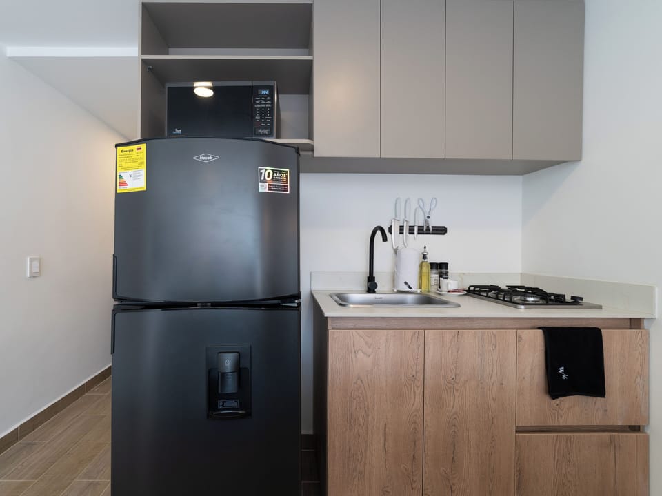 Apartment (203) | Private kitchen | Fridge, microwave, electric kettle, blender