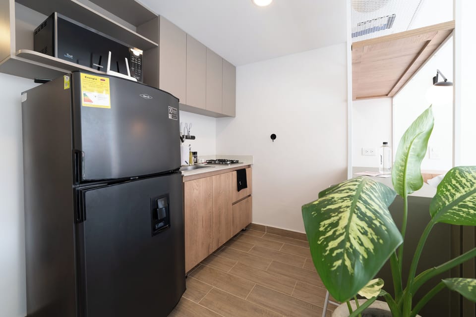 Apartment (203) | Private kitchen | Fridge, microwave, electric kettle, blender