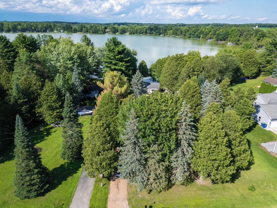 Aerial view facing the lake, showing the privacy trees from the main road