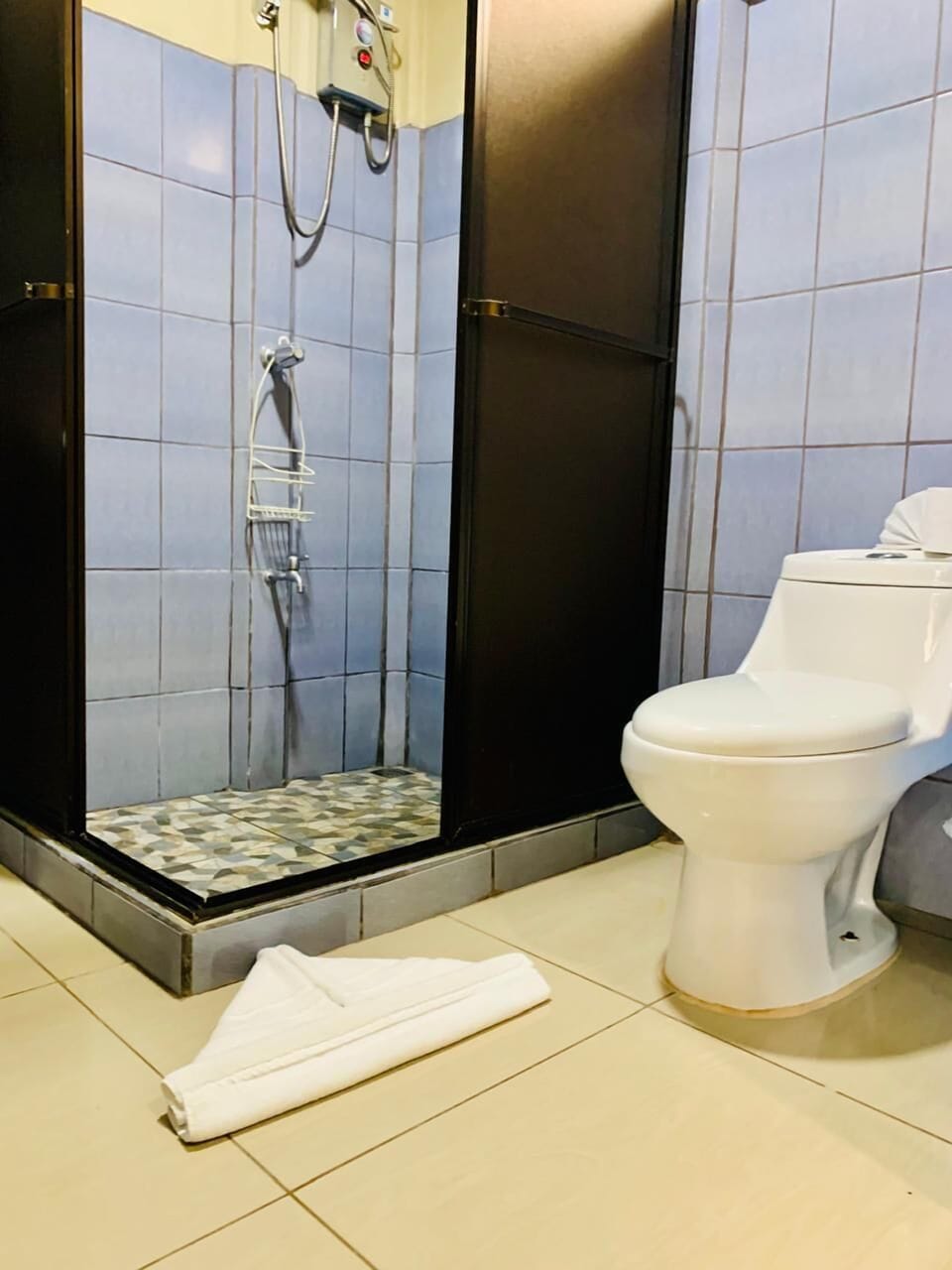 Shower, towels