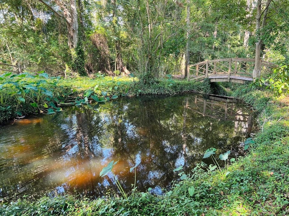 Nature