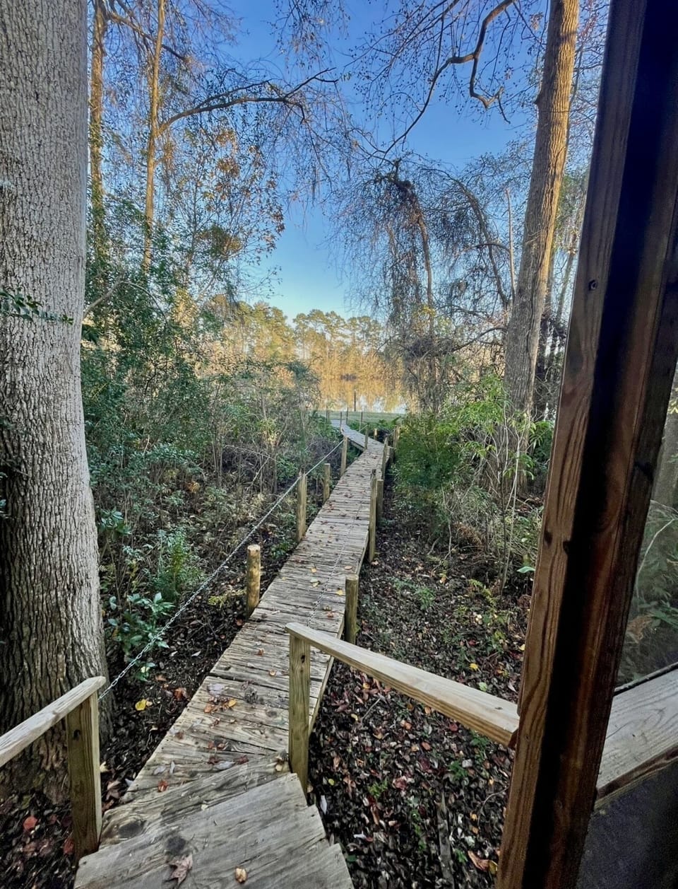 Walkway to DeMott Lake