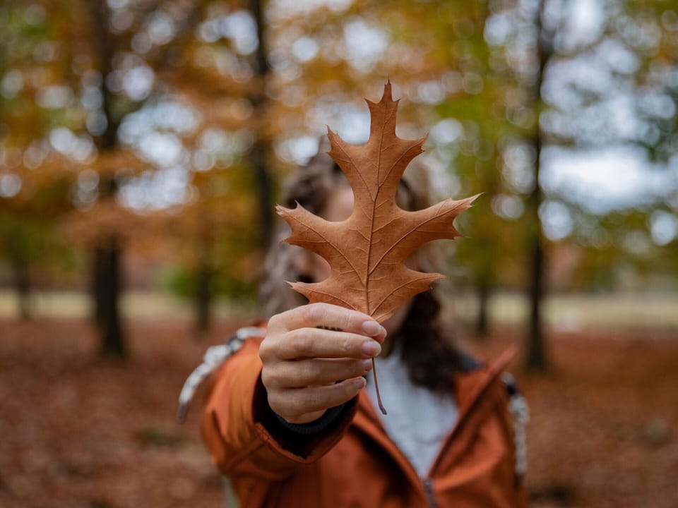 Villa | Interior detail