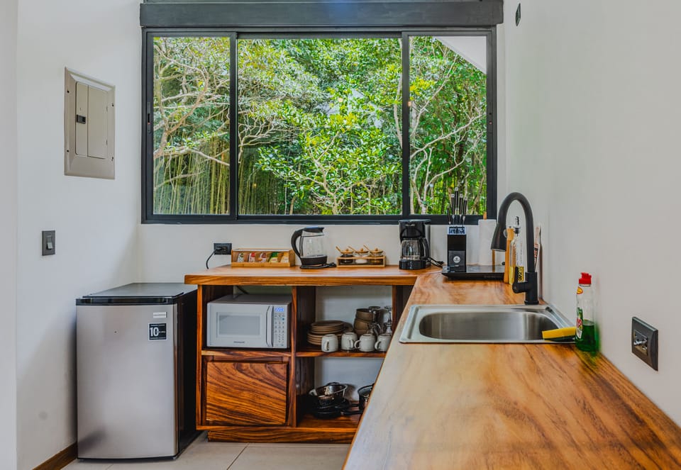 Luxury Villa, Balcony, Mountain View | Private kitchen | Coffee/tea maker, full-size fridge, microwave, stovetop