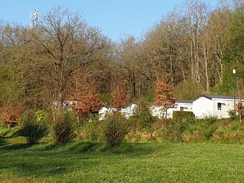 Chalet | View from property