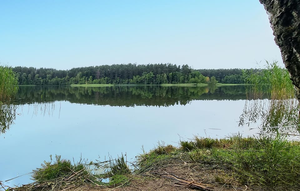 area