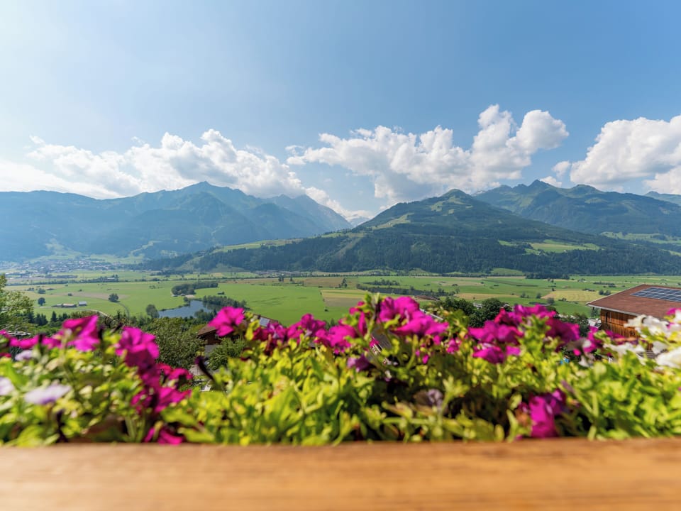View from Holiday Home [summer]