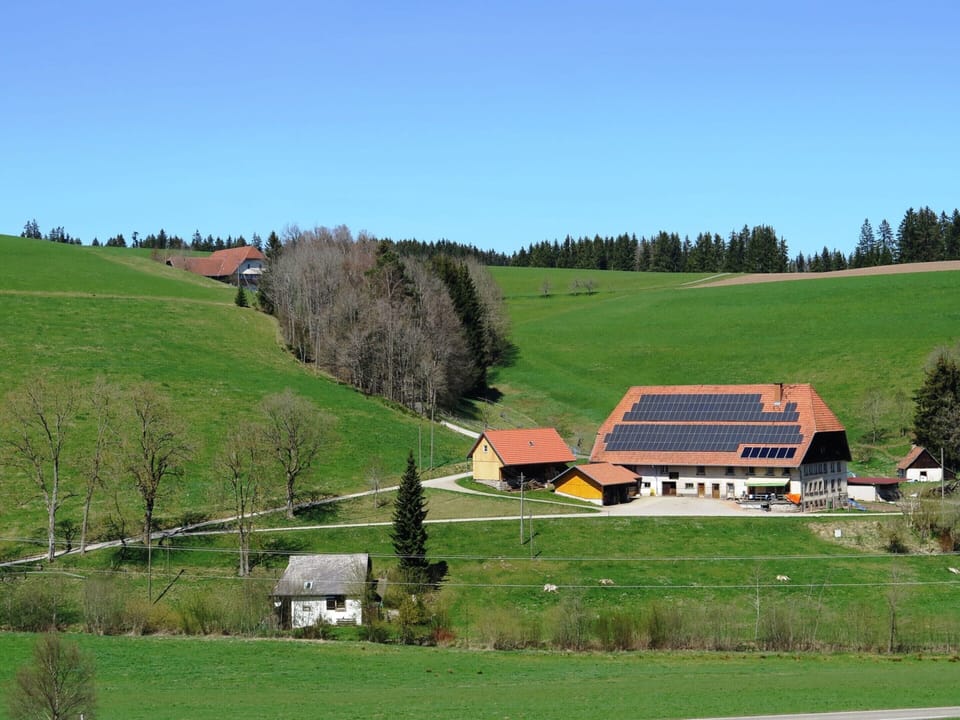 House | View from property