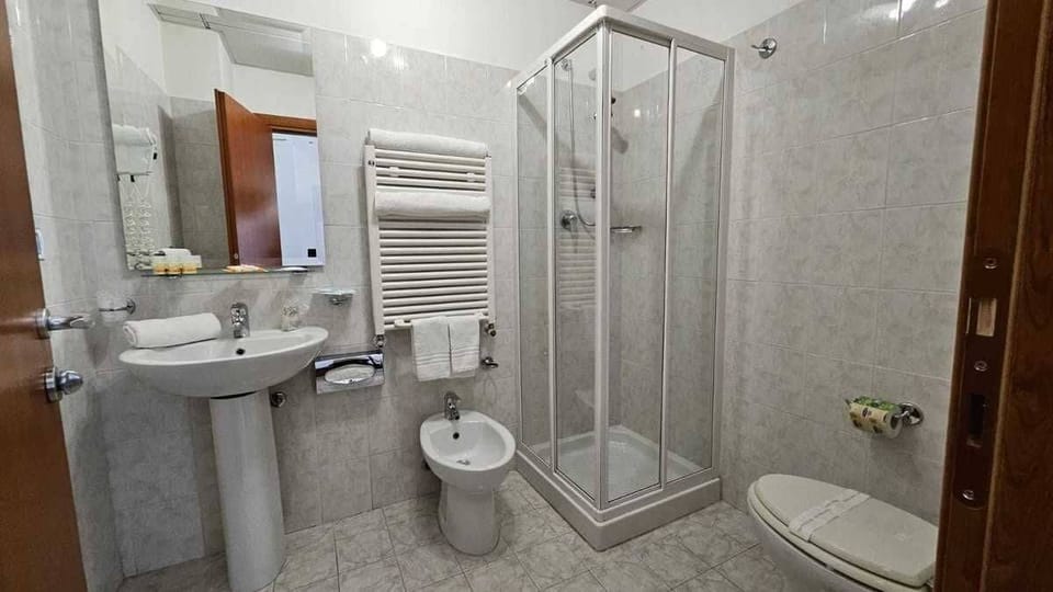 Hair dryer, bidet, towels, soap