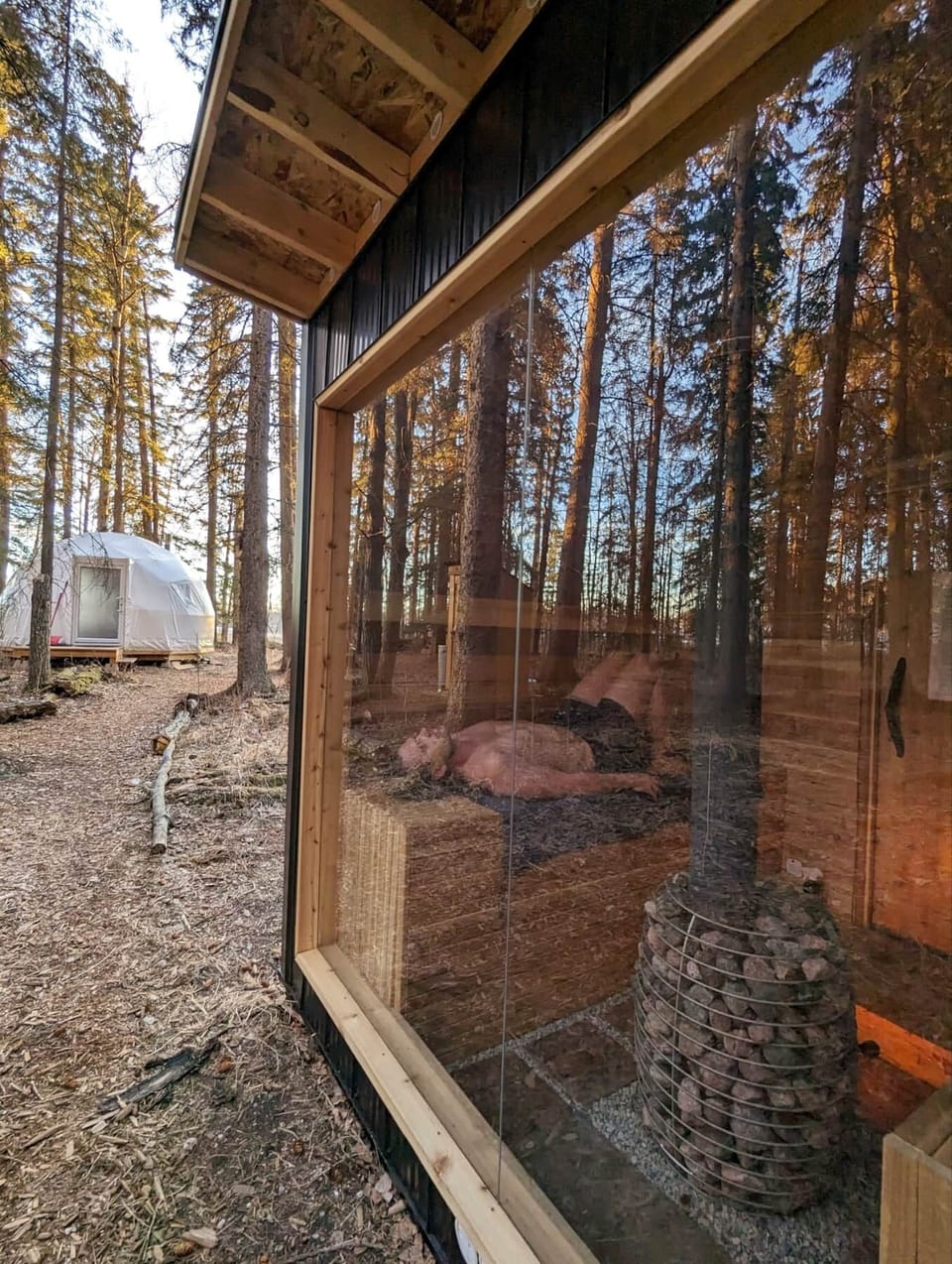 Boreal forest nordic sauna 
