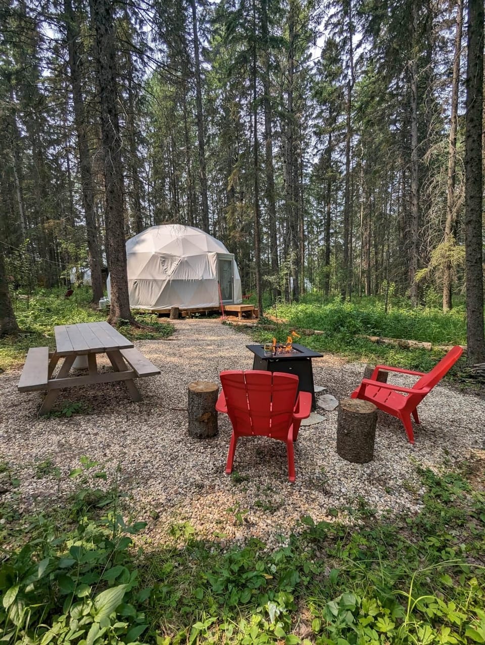 Spruce's private glamping site (1)