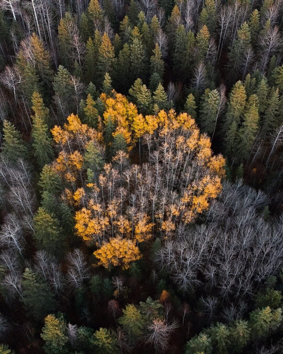 160 acres of private land