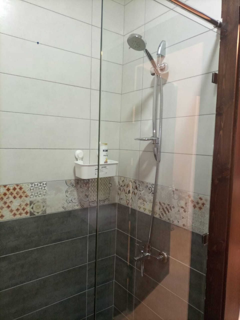 Shower, bidet, towels, soap
