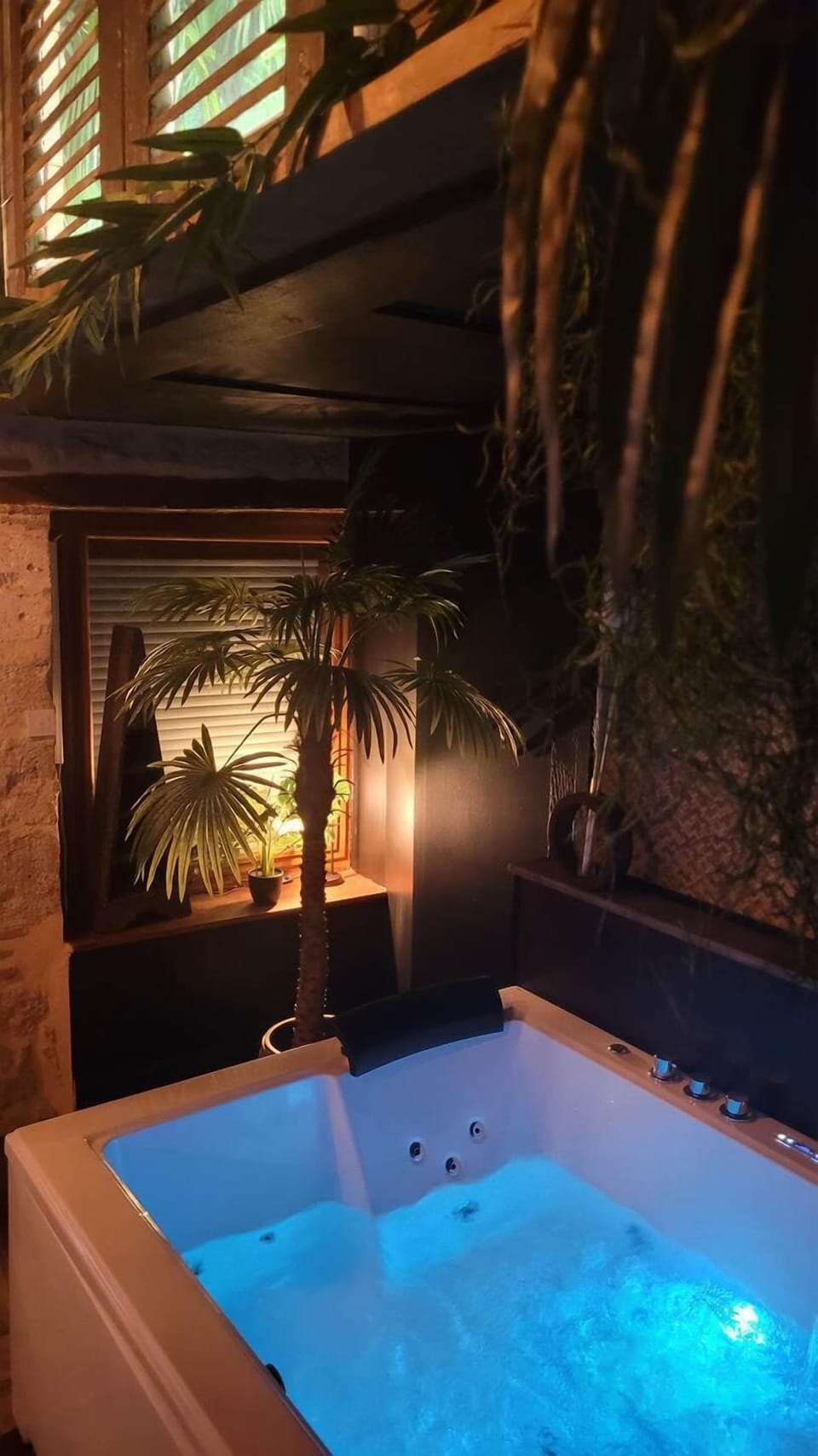 gite décoration jungle
