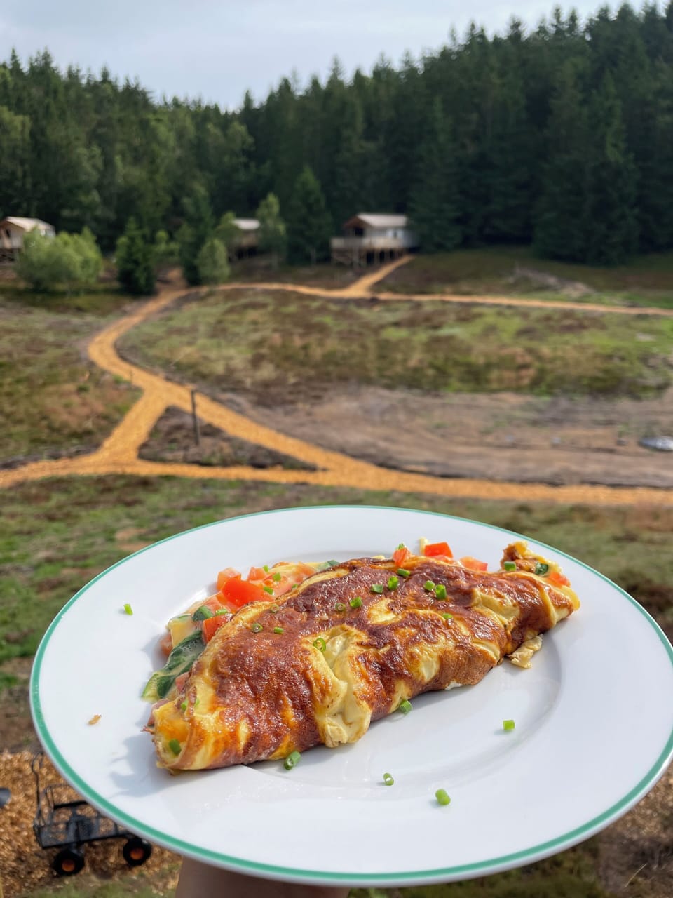 Free daily full breakfast