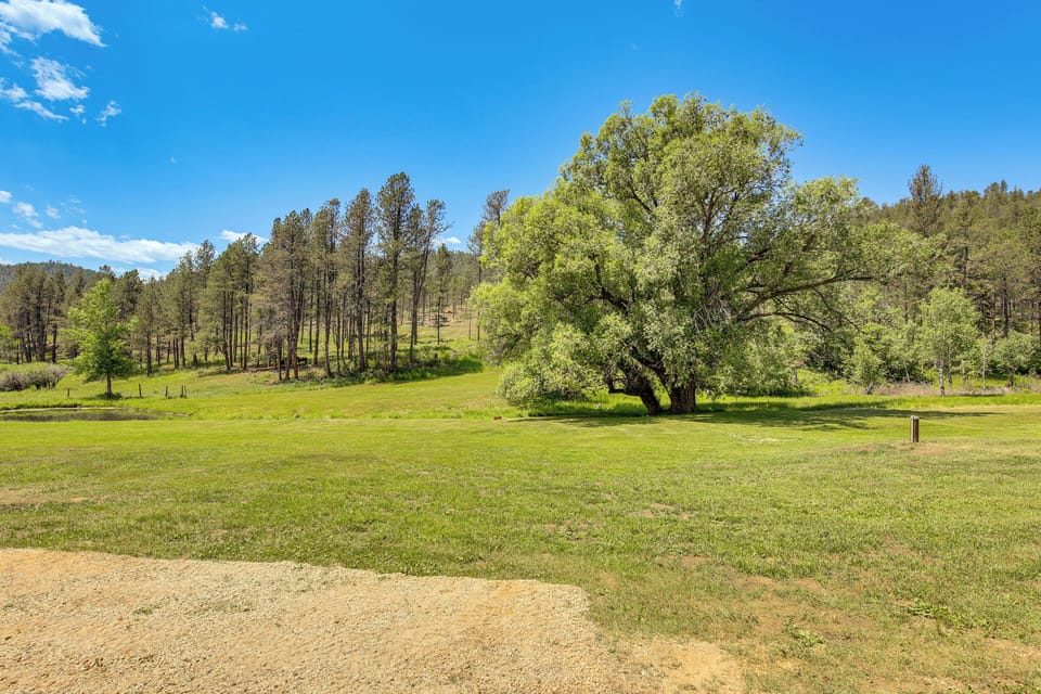 House (1 Bedroom) | Interior