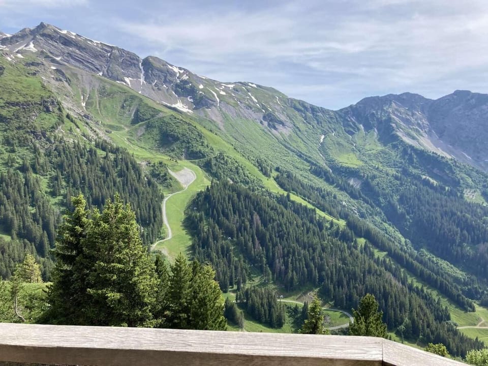 View from property