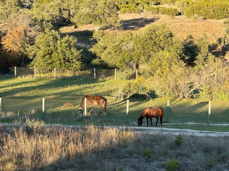 For the equestrian enthusiast, we offer stables for boarding your horse while traveling as well as a pasture for your horse's vacation pleasure. Please check with us for availability and rates.