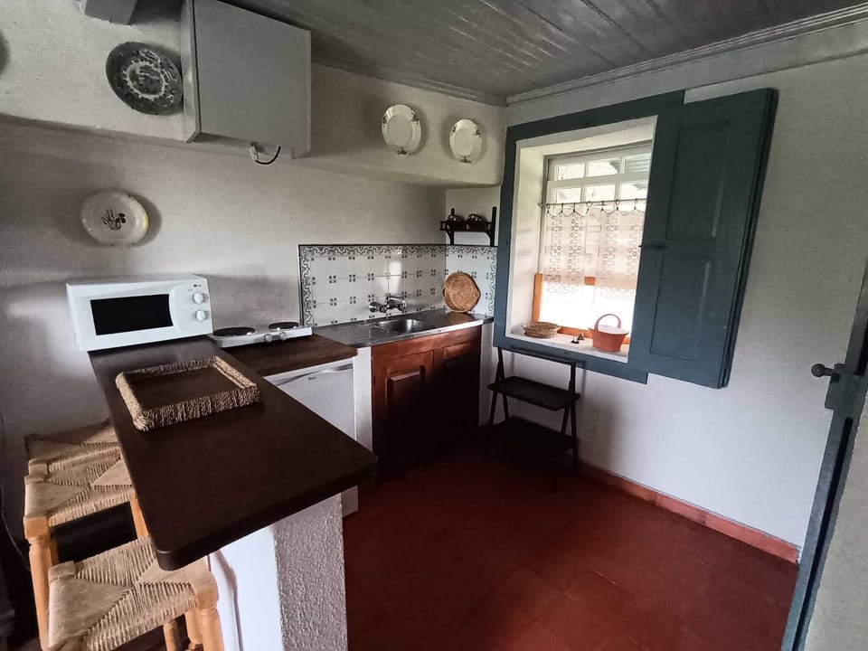 Premium Apartment, Patio | Private kitchen