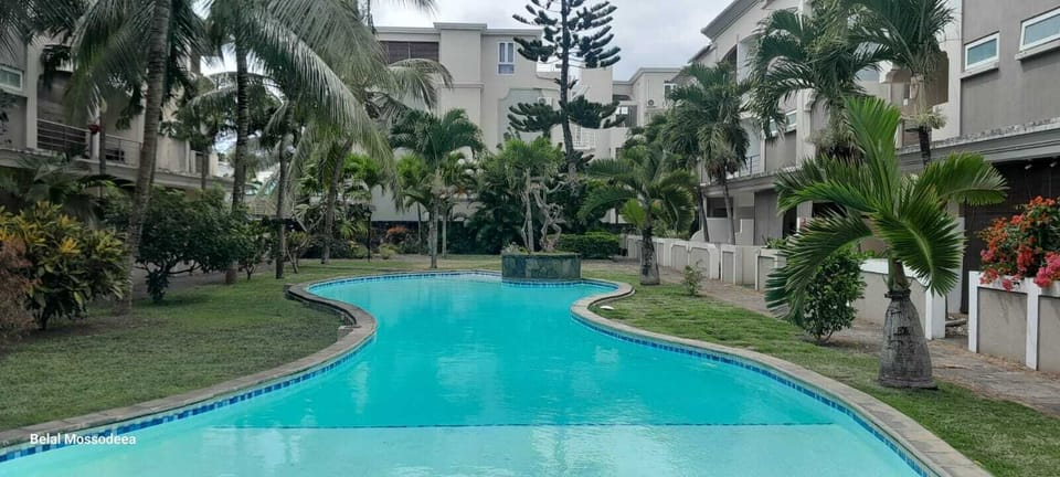 Swimming Pool and garden