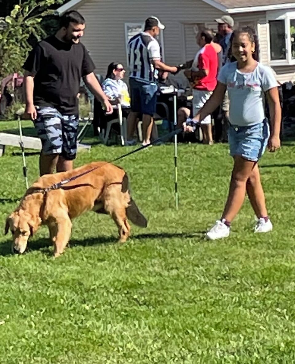 Pet-friendly