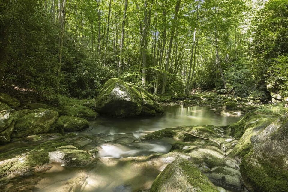 Swimming Hole in the Creek