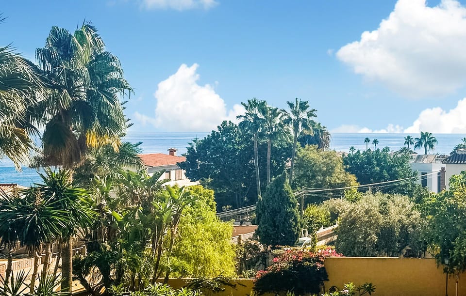 view-from-room