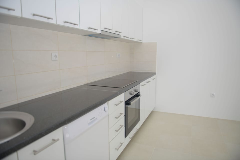 Full-size fridge, oven, dishwasher, electric kettle