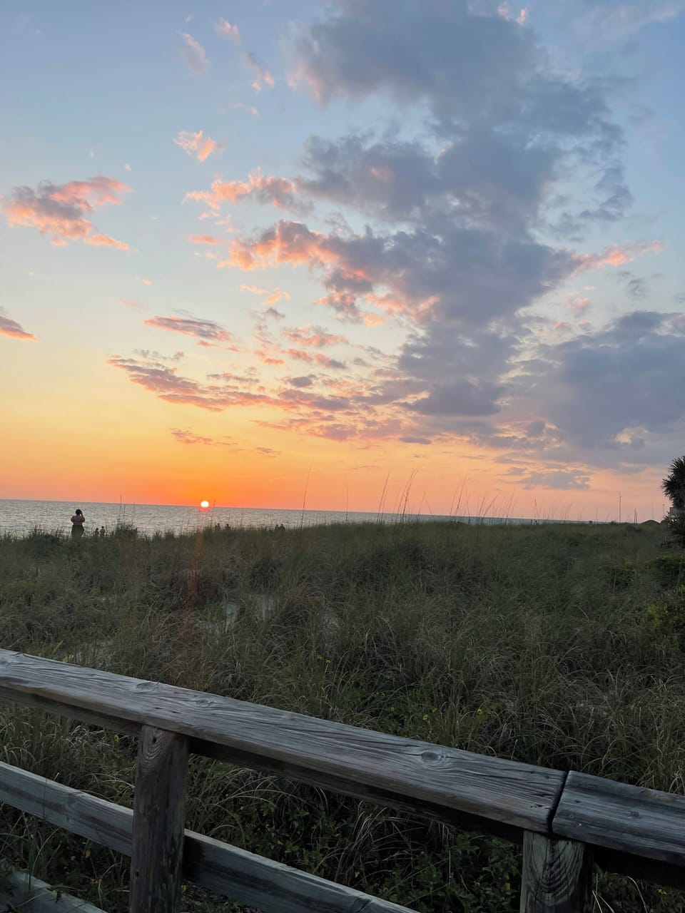 Beach/ocean view