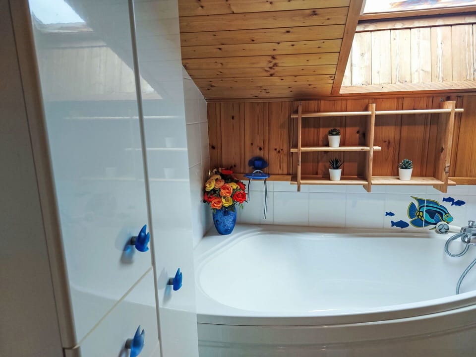 Window, Building, House, Naval Architecture, Wood, Interior Design, Flooring, Plumbing Fixture, Watercraft, Plant