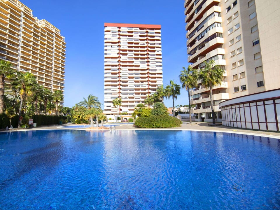 Water, Building, Plant, Daytime, Sky, Blue, Azure, Skyscraper, Tree, Swimming Pool