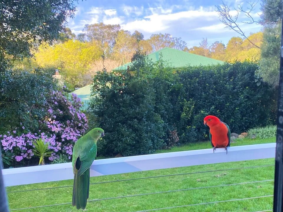 View from property
