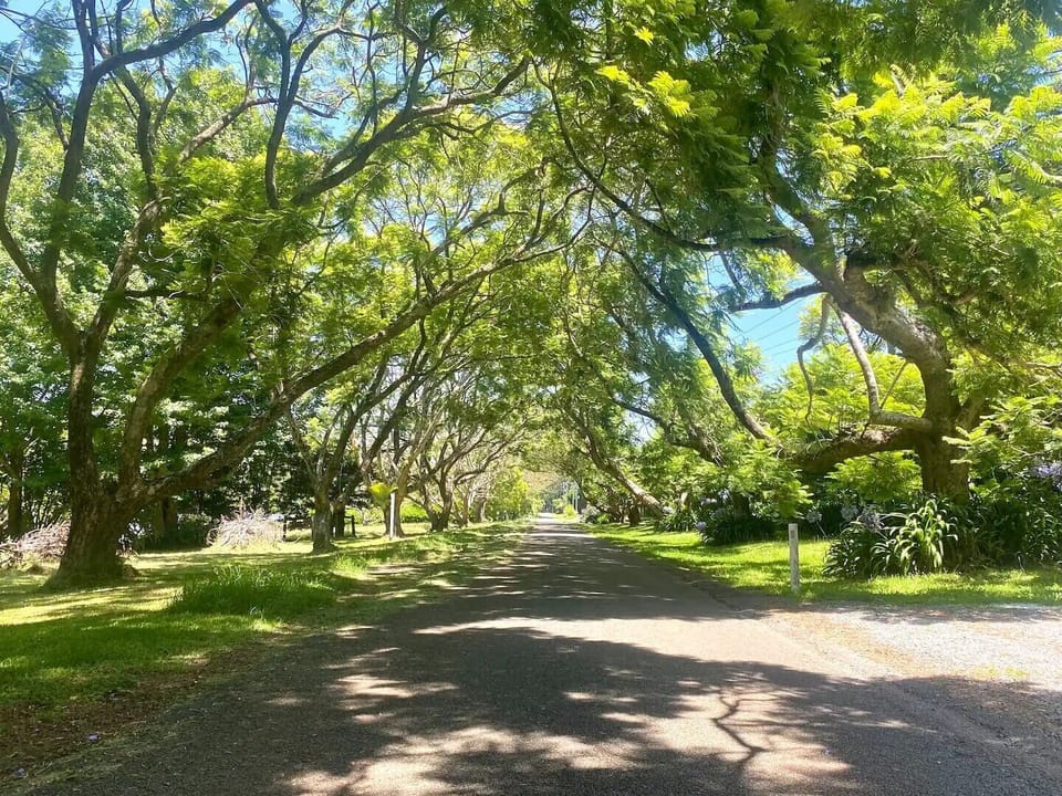 Tamborine Mountain