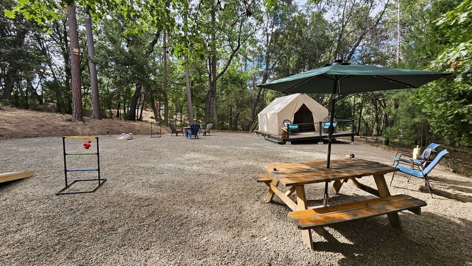 View of your private yard space with yurt, available to use if over 4 person occupancy