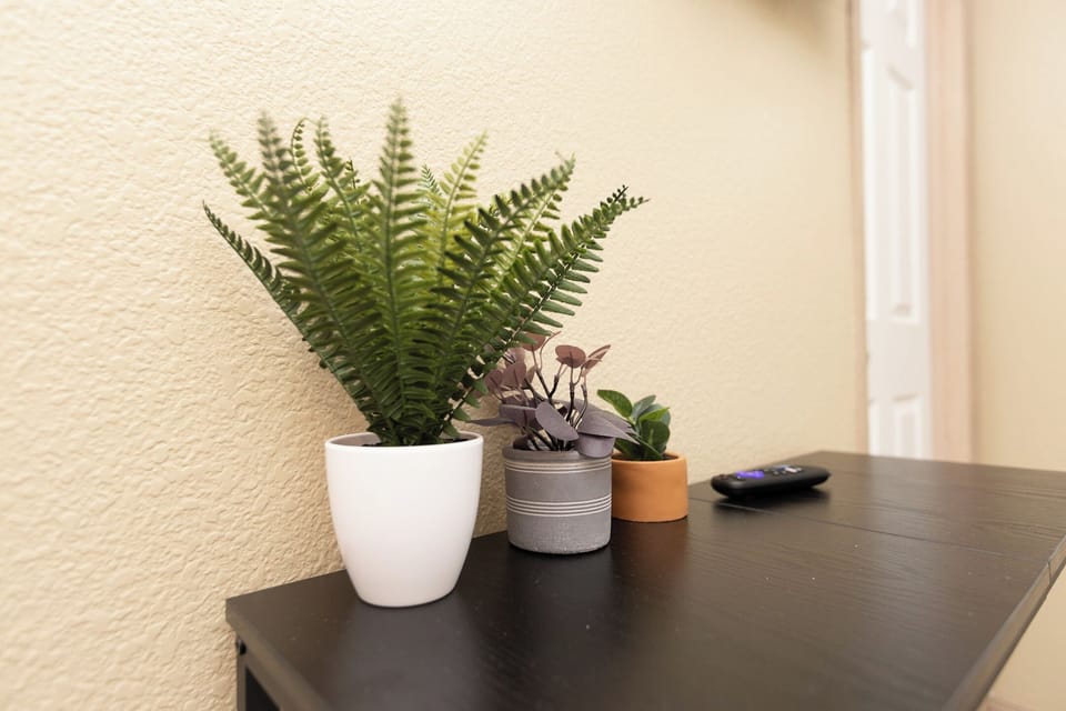 All The Little Decor Throughout Property