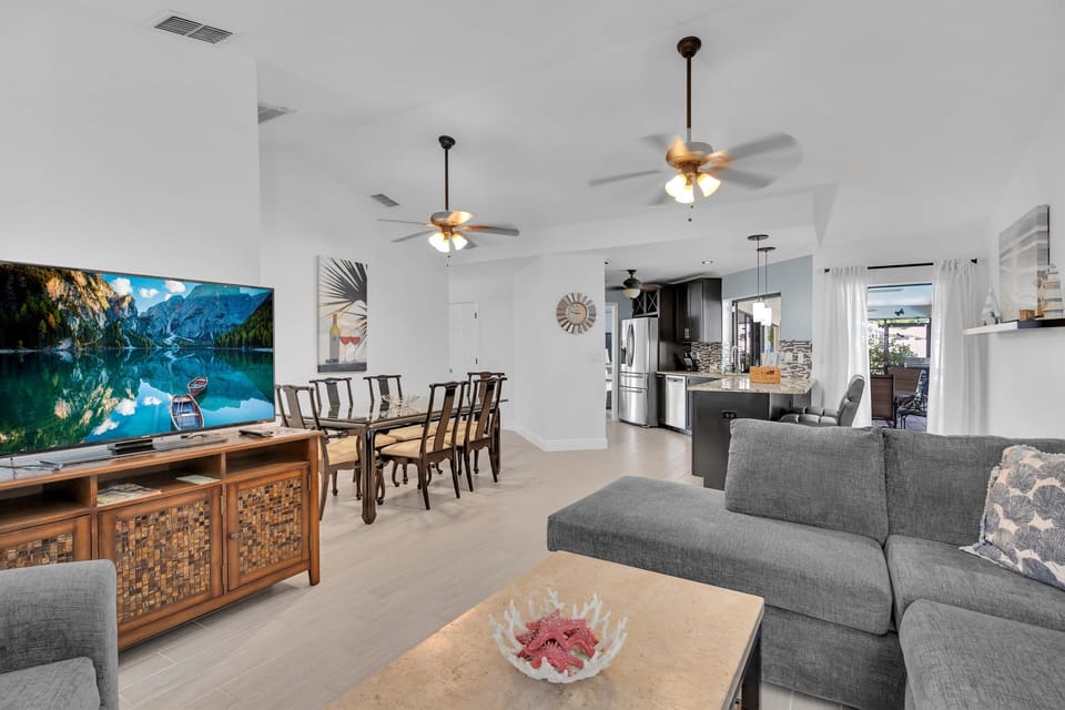 Living room / dining room / Kitchen