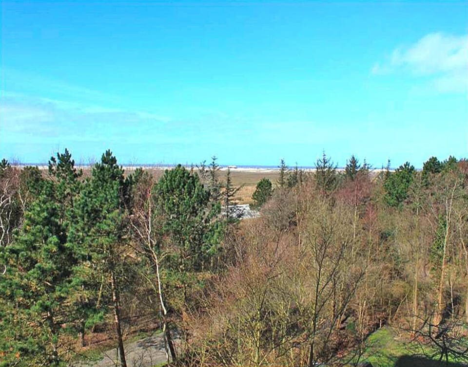 Apartment | View from property