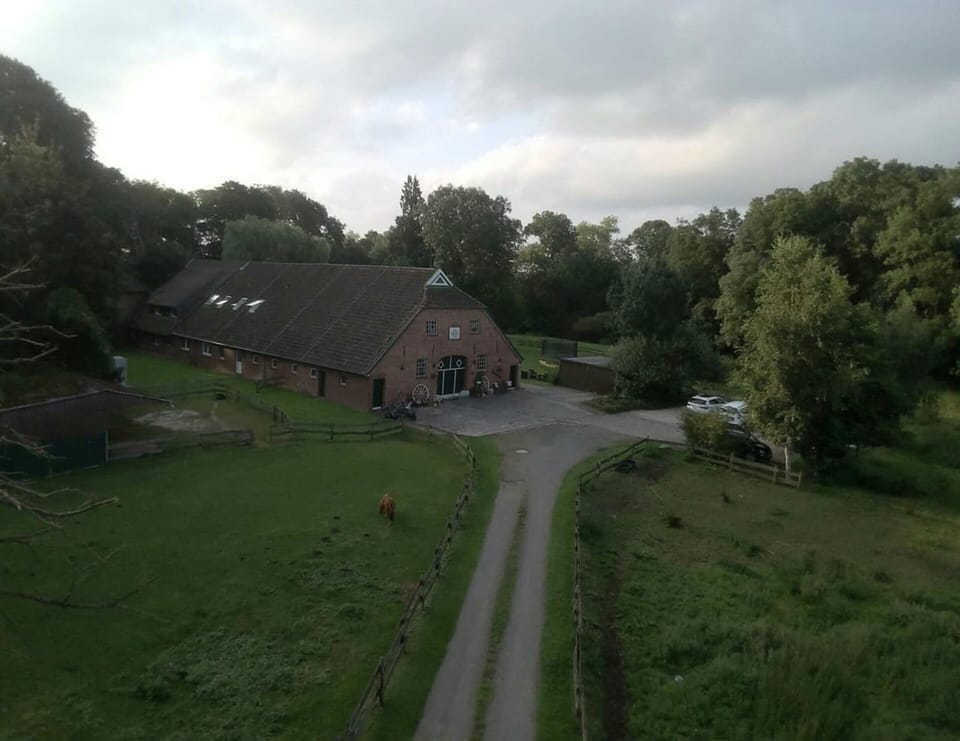 Apartment | View from property