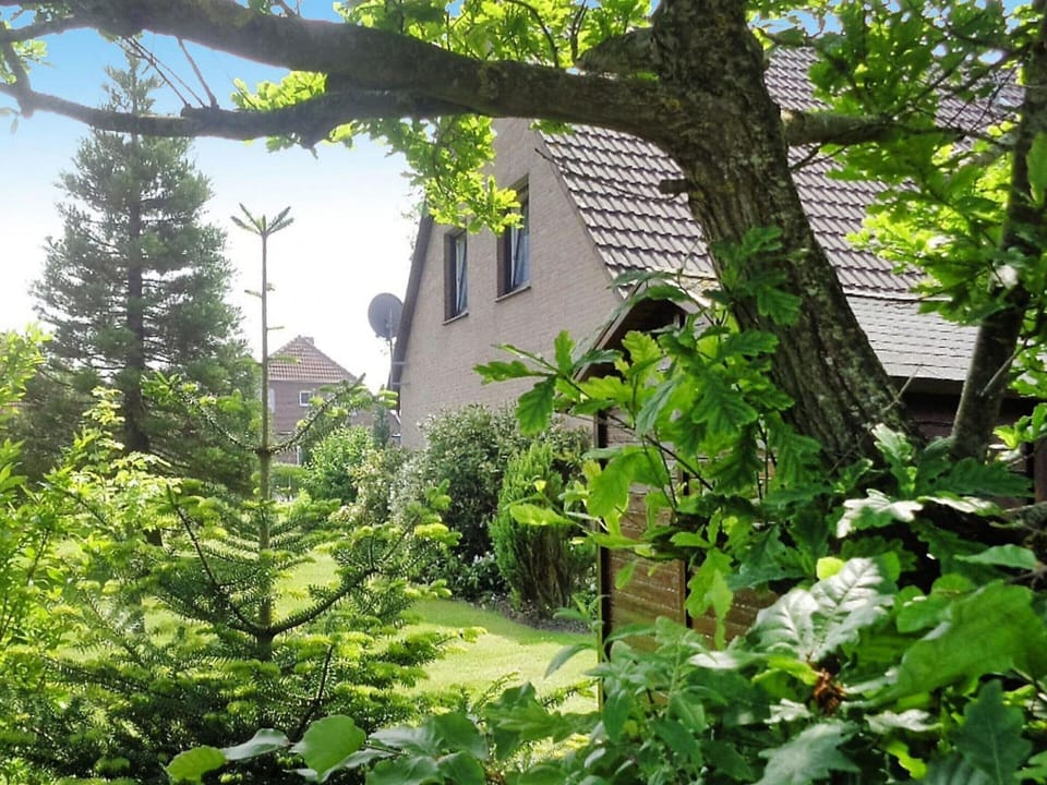 House | Exterior